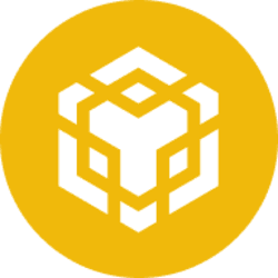 BNB (BNB) logo